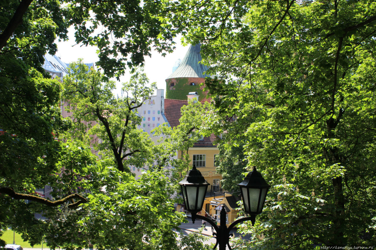 Зеленое ожерелье Риги Рига, Латвия Зеленое ожерелье Риги Рига, Латвия