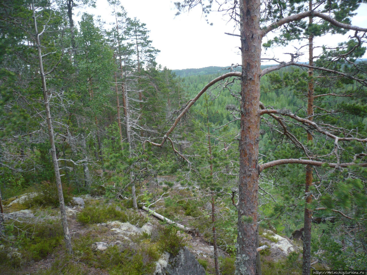 Гора Хауккавори Симпеле, Финляндия