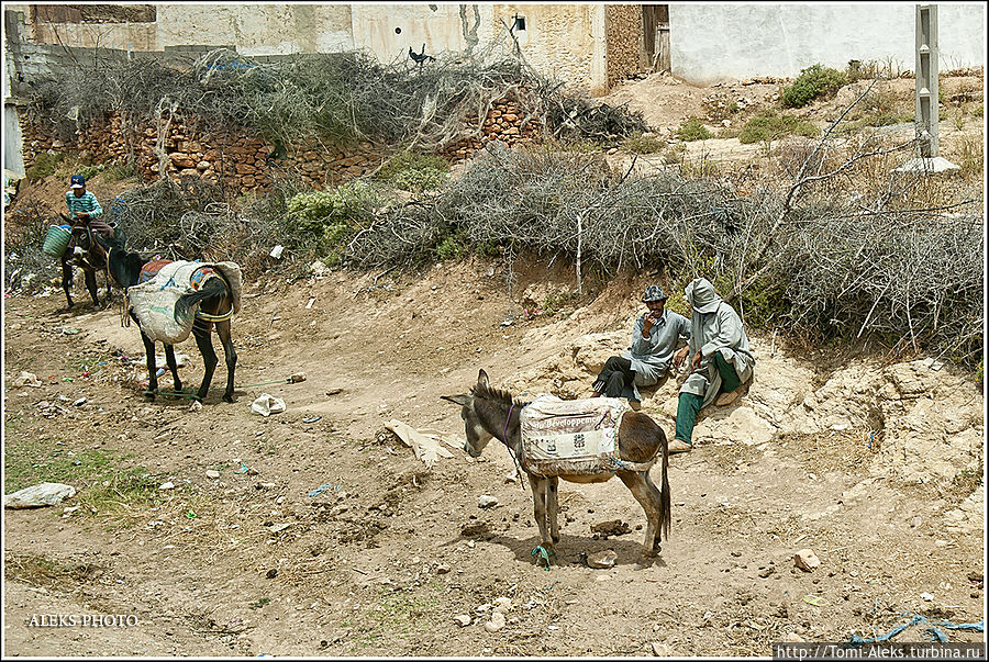 Берберские Мотивы (Марокканский Вояж ч7) Эссуэйра, Марокко