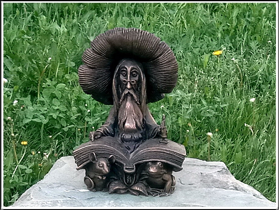 Квест с грибами Рязань, Россия