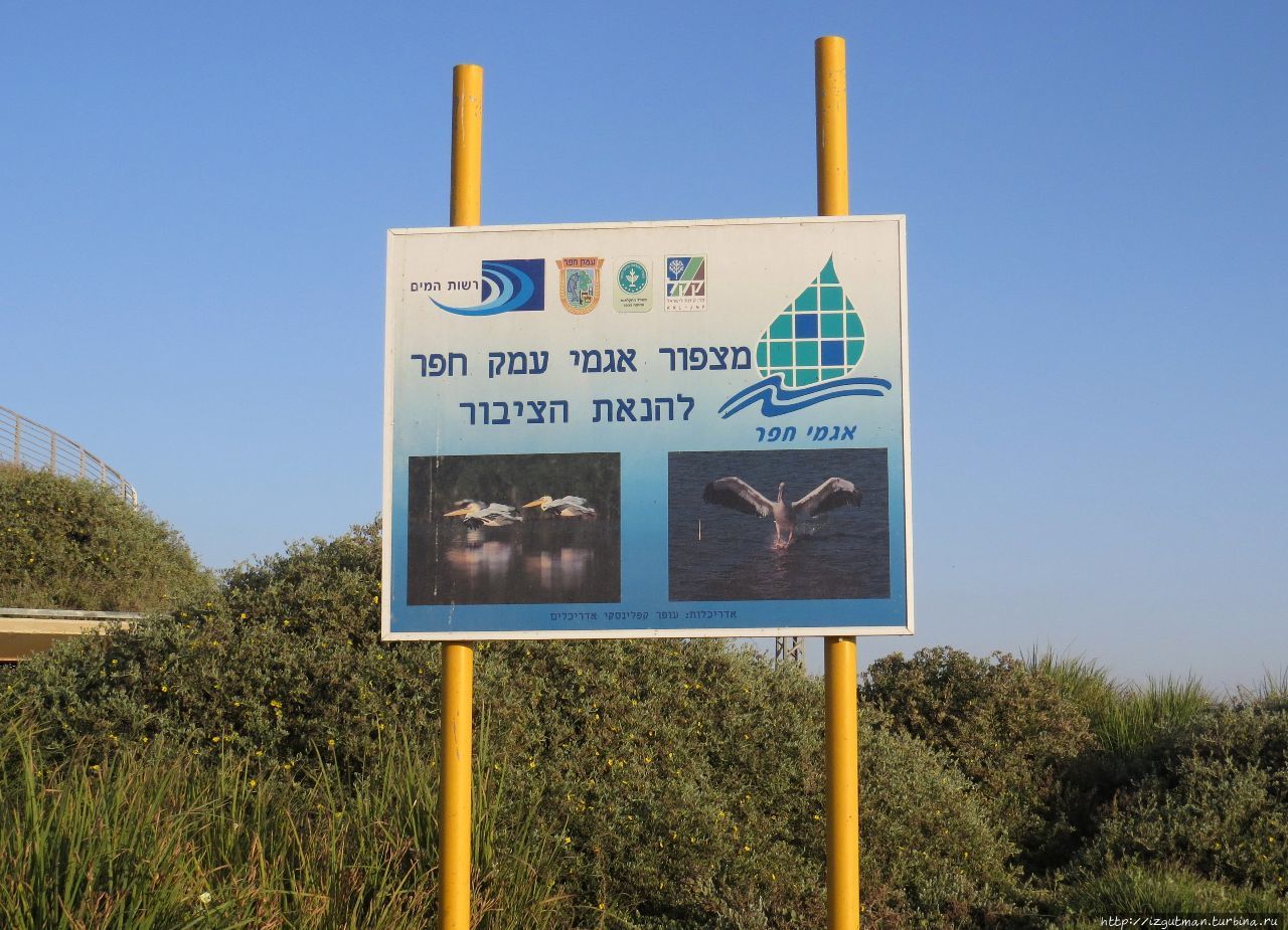 Мицпор Викар (долина и водоемы Эмек Хефер) Нетания, Израиль