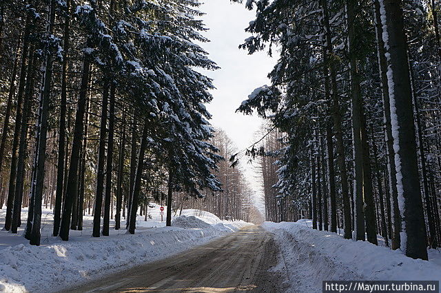 Дорога до первого уровня Дорога до первого уровня