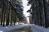Дорога до первого уровня Горного Воздуха. Можно поднятся на канатке , сразу с окраины Южно- Сахалинска,но через лес приятнее.