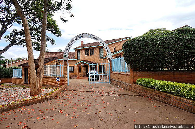 Одно из зданий Университета. Одно из зданий Университета.