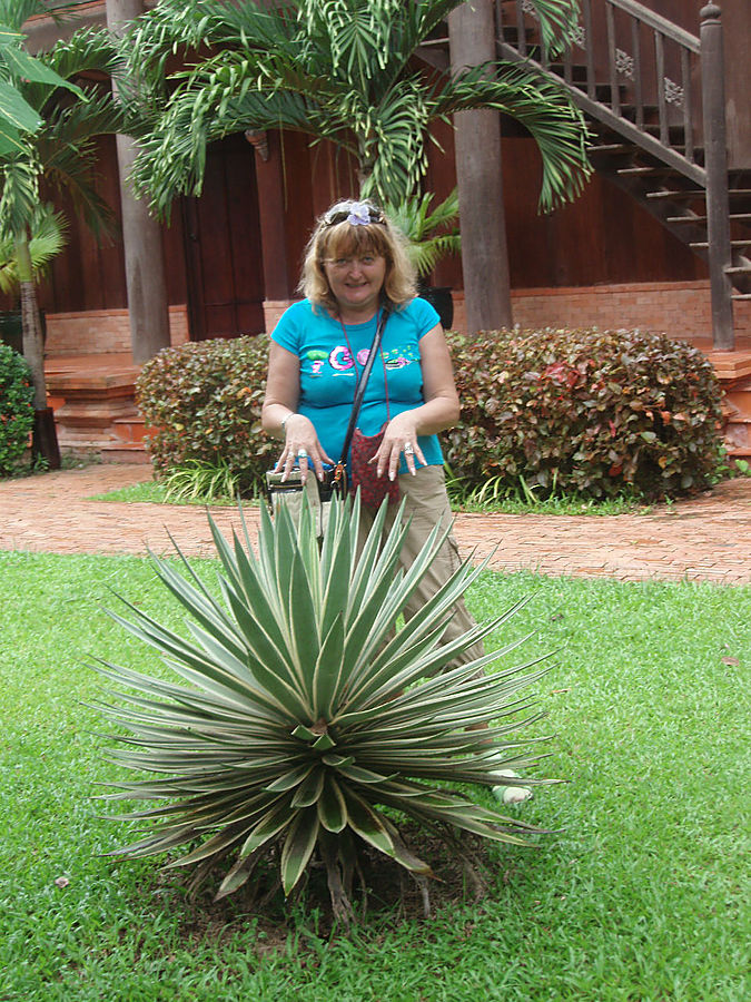 Angkor Village Resort & Spa Сиемреап, Камбоджа