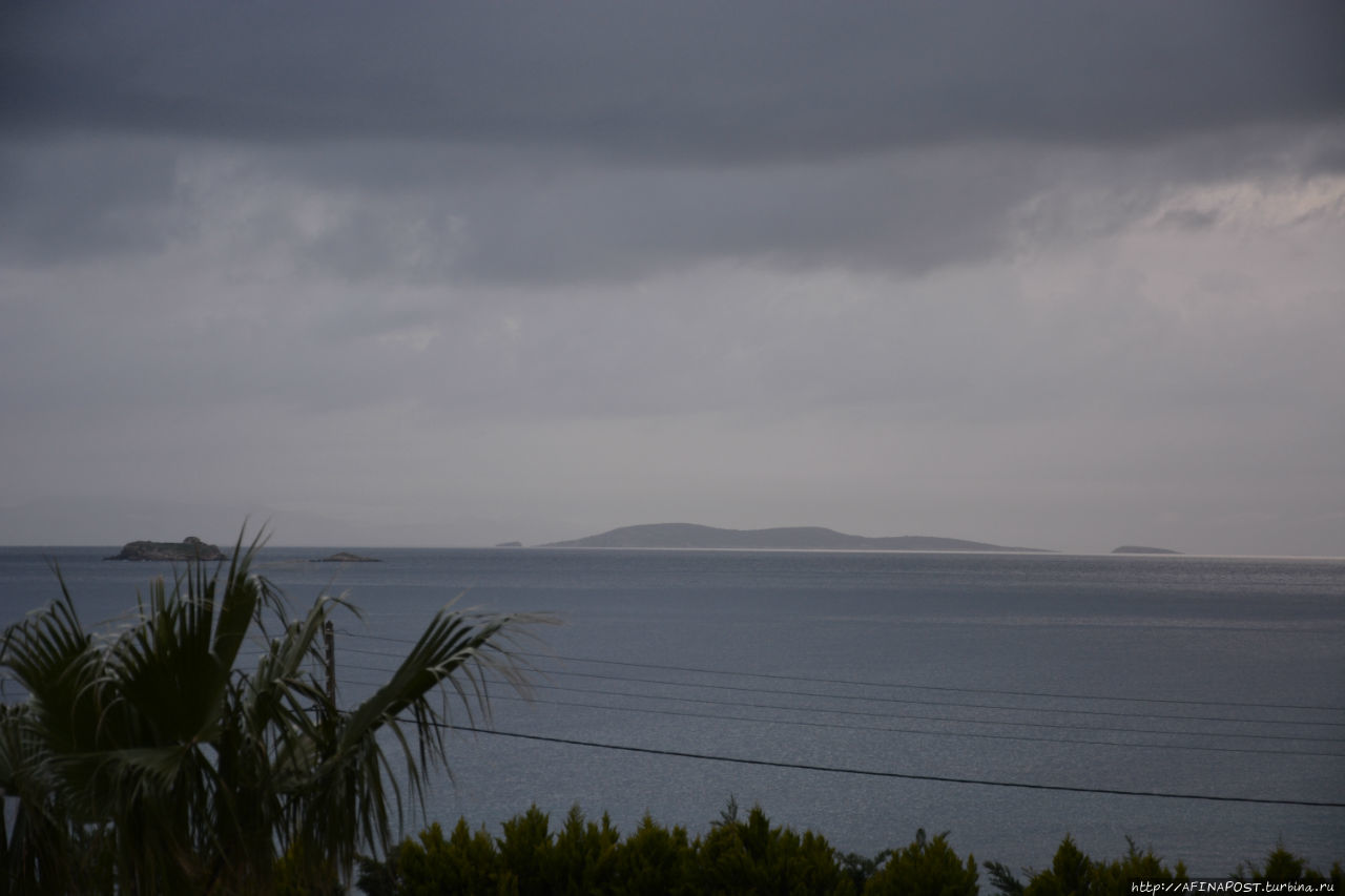 Все оттенки серого Все оттенки серого