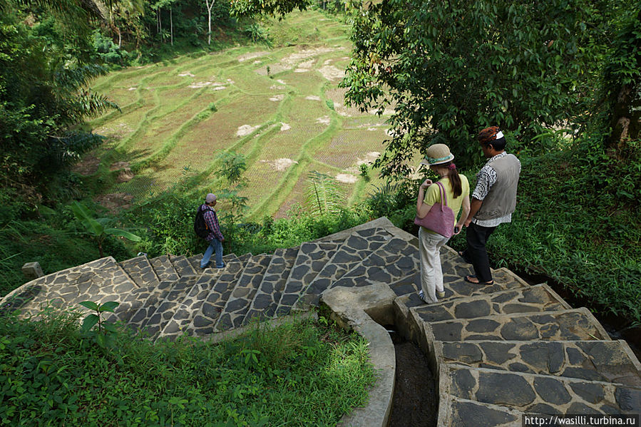 Спуск к деревне. Спуск к деревне.