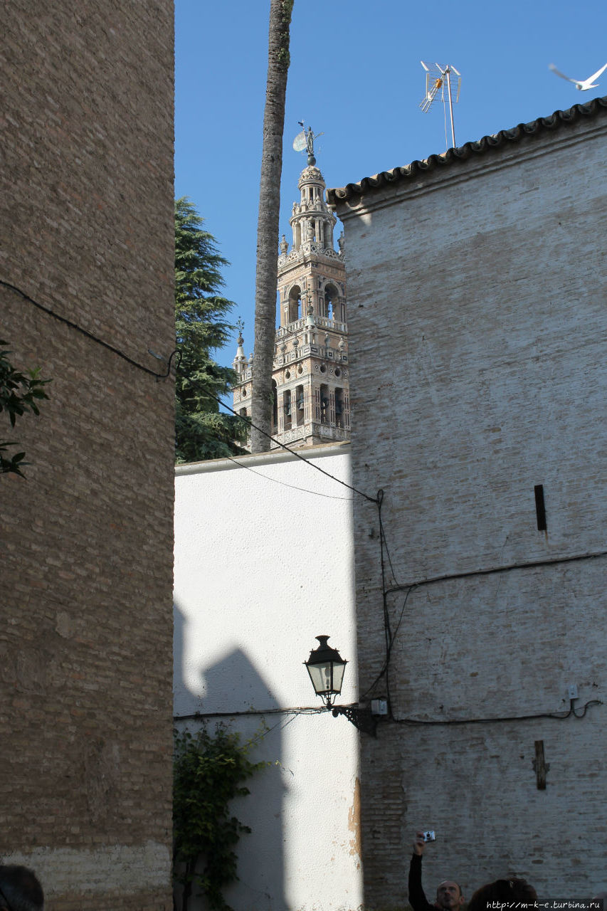 Девять мест, котрые стоит посмотреть в квартале Санта Крус Севилья, Испания