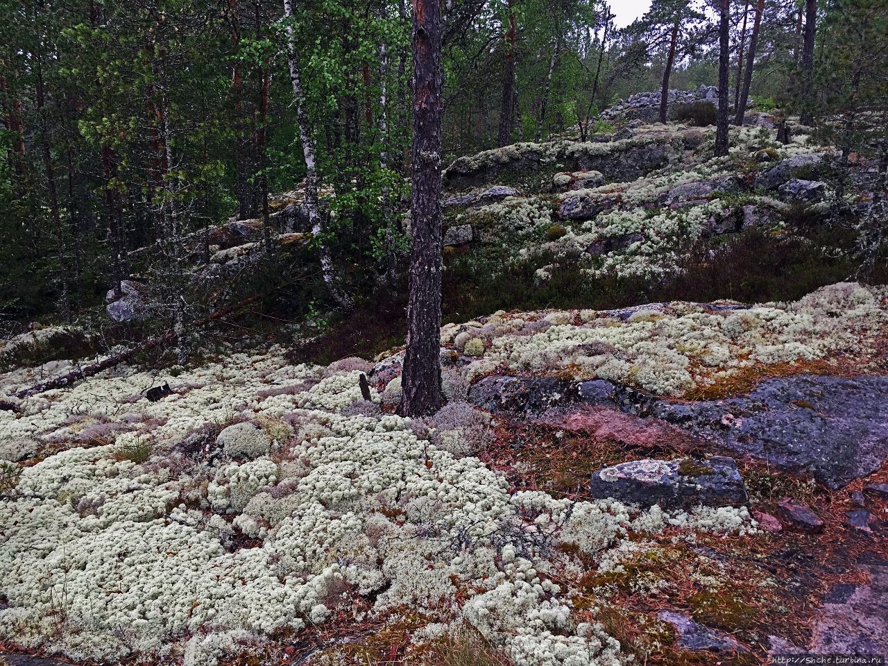 Погребальный комплекс Саммаллахденмяки / Bronze Age Burial Site of Sammallahdenmäki