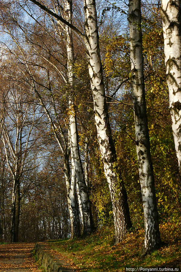 По серпантину поднимаемся наверх По серпантину поднимаемся наверх