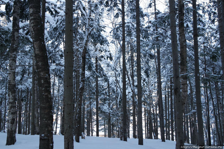 Зимние зарисовки Южно-Сахалинск, Россия Зимние зарисовки Южно-Сахалинск, Россия