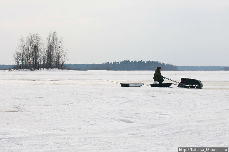 Очередное такси Пено, Россия