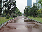 Парк после дождя