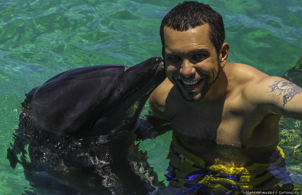 Андрей Алмазов и дельфин в Карибском море Пунта-Кана, Доминиканская Республика