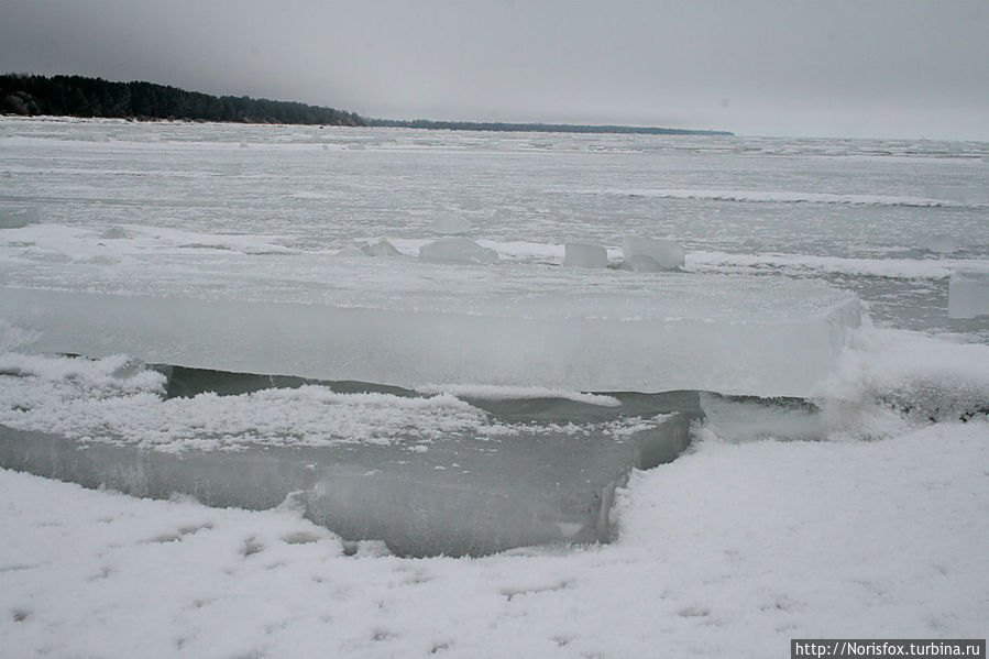 По Балтийскому катку Юрмала, Латвия По Балтийскому катку Юрмала, Латвия