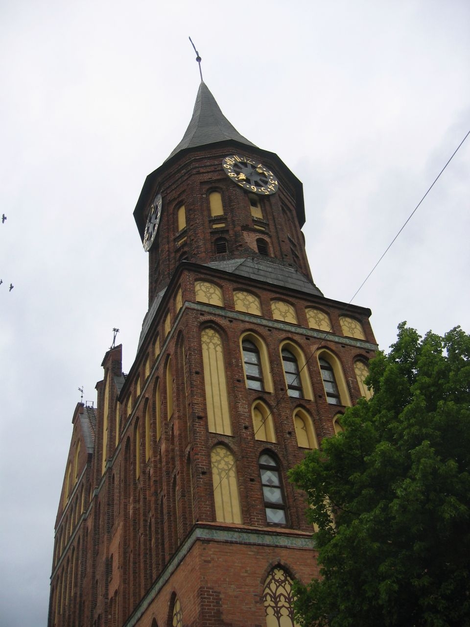 Кафедральный собор Калининград, Россия
