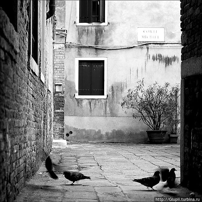 Венеция. Фото из помойки Венеция, Италия