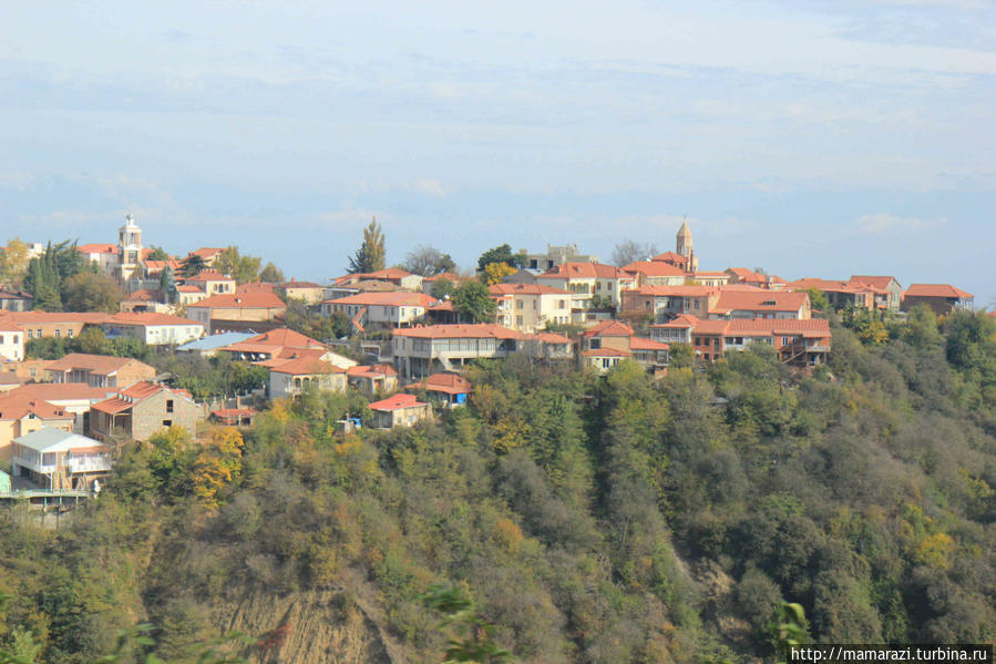 Вид на город и Алазанскую долину Сигнахи, Грузия