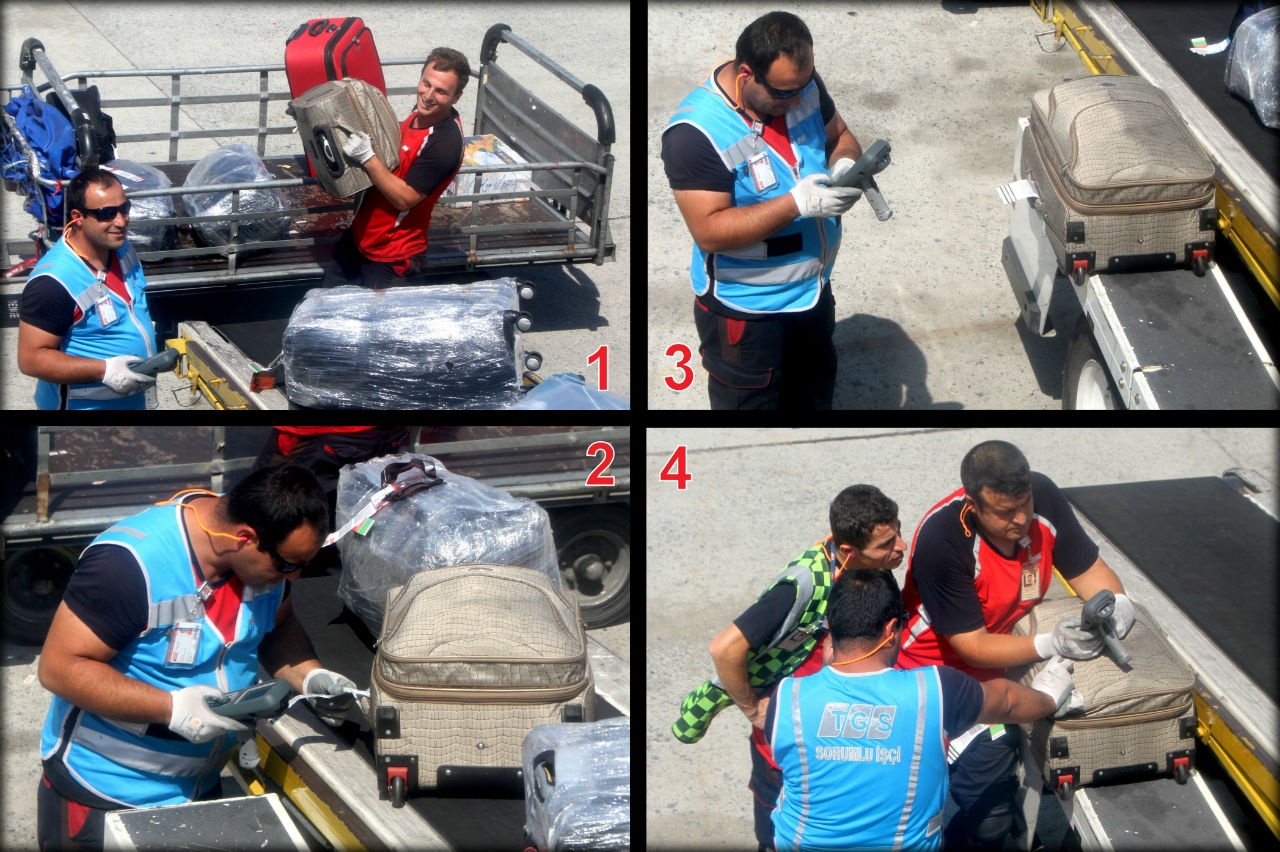 Крылья наших мечтаний Крылья наших мечтаний