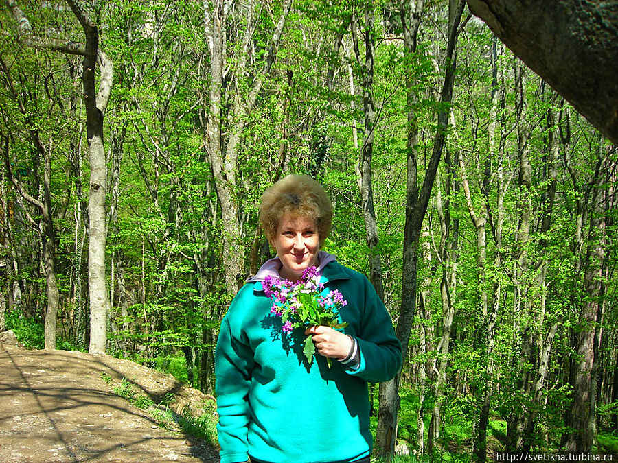 По дороге на верх По дороге на верх