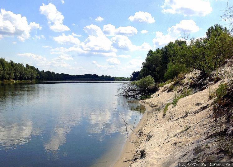 Берега Десны различны — з Берега Десны различны — з