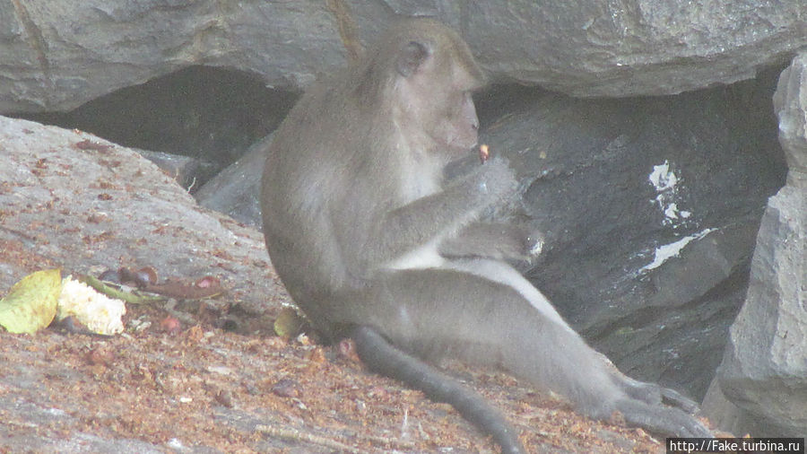 ужинает) ужинает)