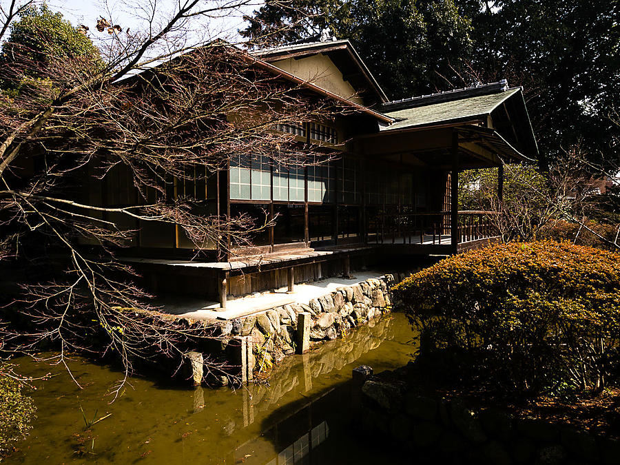 Сливы в сливовом святилище Киото, Япония