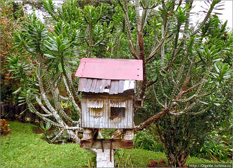 Домик для европейских пчелок Булусан, Филиппины