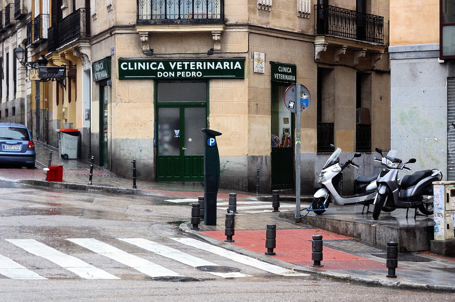 Ветеринарная клиника Дона Педро :) Мадрид, Испания