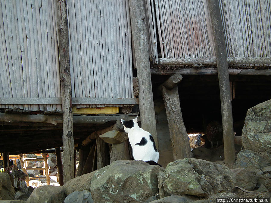 Как живут на Нуси Комба Нуси Комба, Мадагаскар