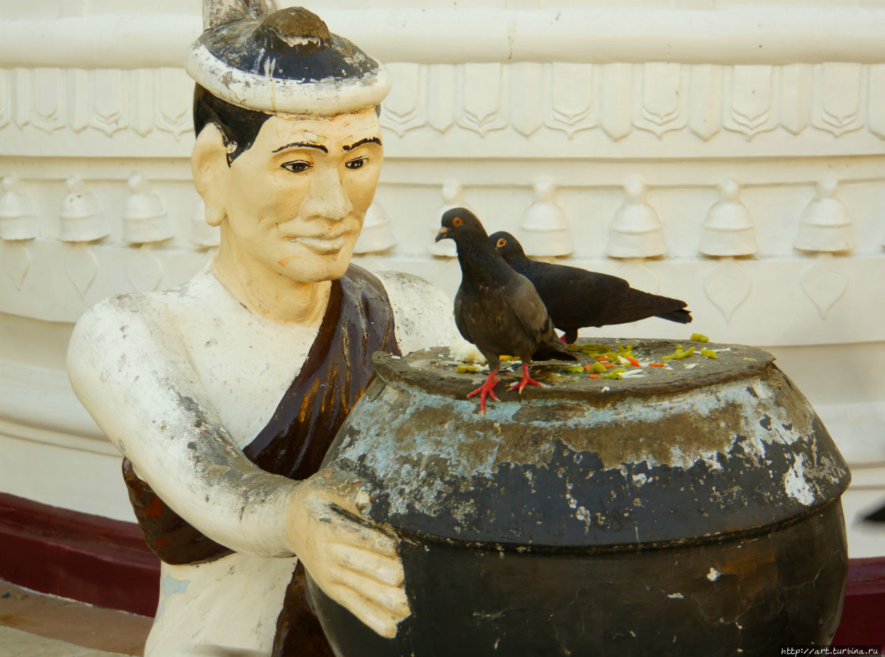 После церемонии все занялись своими привычными делами. Мужик стал кормить голубей. Янгон, Мьянма