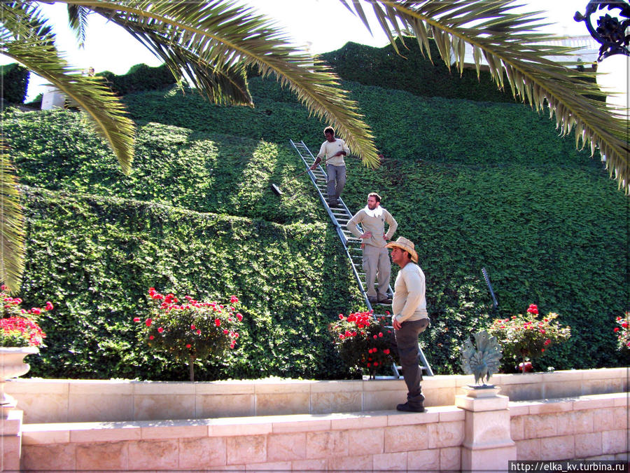 Садовники в садах работают постоянно Хайфа, Израиль