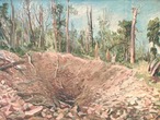 Один из кратеров, образовавшихся при падении Сихотэ-Алинского метеорита. Картина художника Н.А.Кравченко (1948 г)