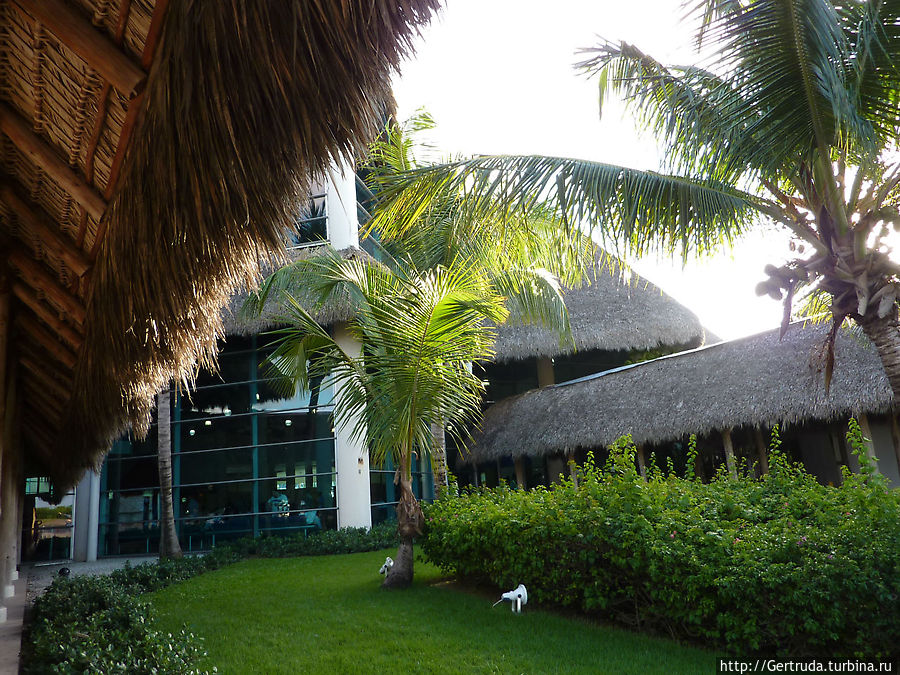 Аэропорт Пунта Кана — вид со стороны летного поля Аэропорт Пунта Кана — вид со стороны летного поля