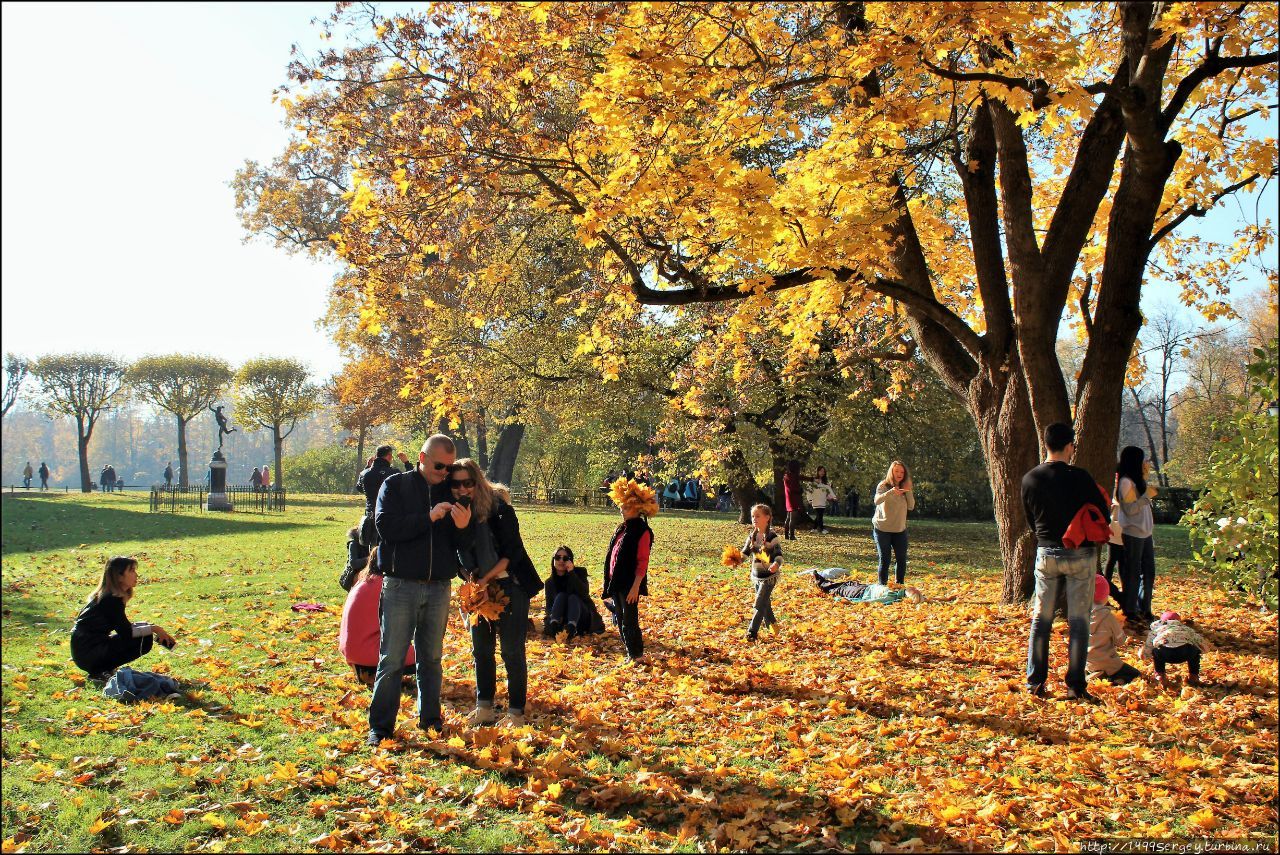 Золотая осень в Павловском парке #3 Летящий Меркурий Павловск, Россия