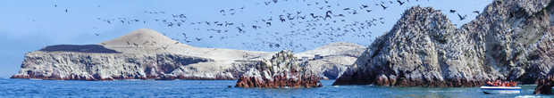 знаменитые острова Баллестас, на побережье к югу от Лимы, с многотысячной птичьей армией и залежами их гуано