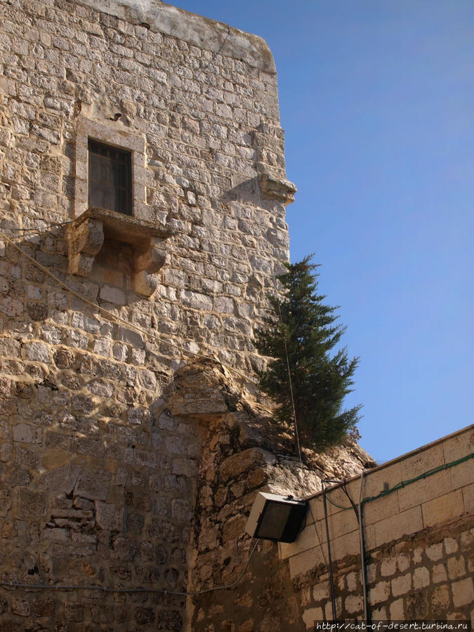 Поездка в Вифлеем и храм Рождества Вифлеем, Палестина