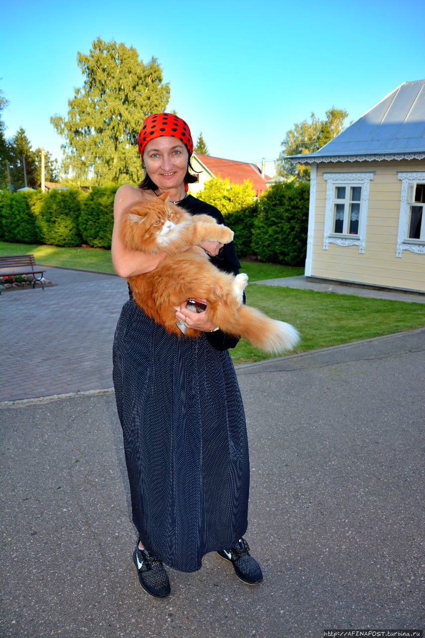 Монастырские кошки. Мэйн-кун и Рыжий Махра, Россия