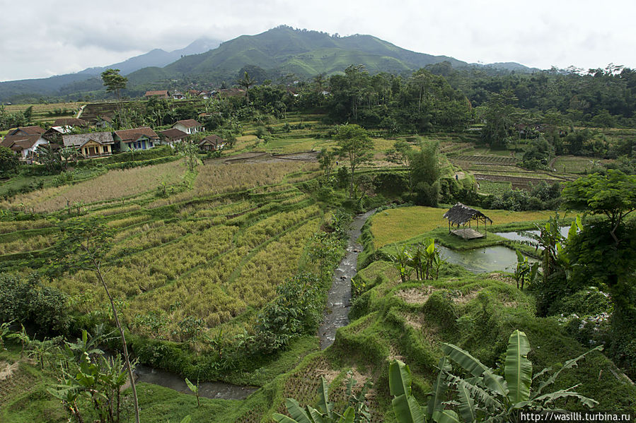 Центральная Ява. Центральная Ява.