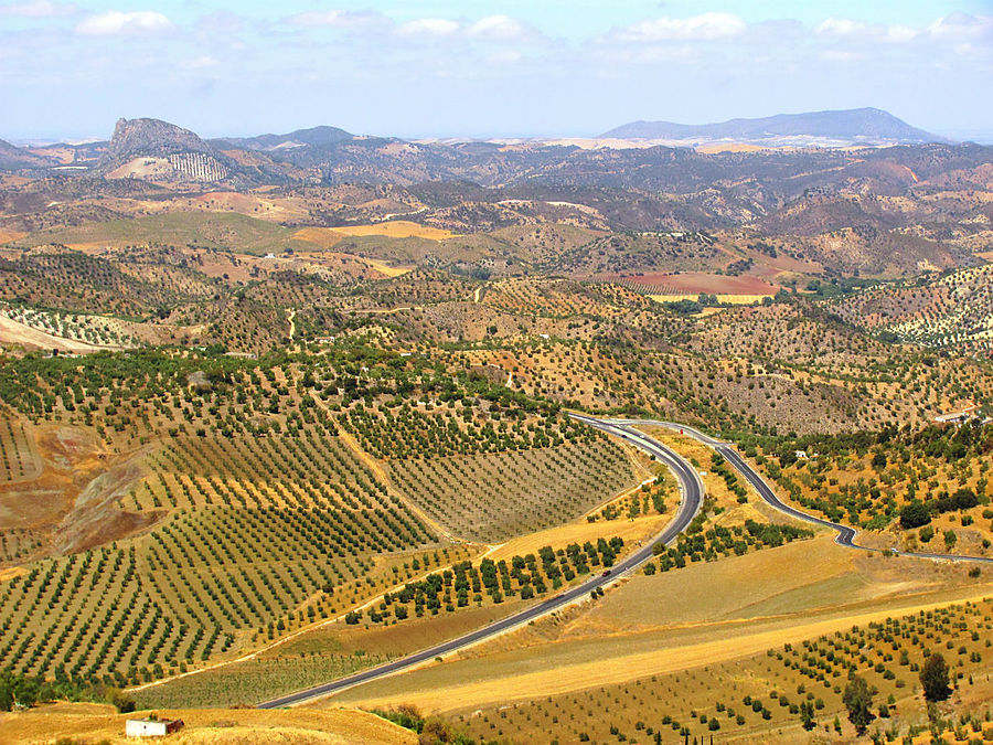 Уж, не Зафрамагон ли в левом верхнем углу? Уж, не Зафрамагон ли в левом верхнем углу?