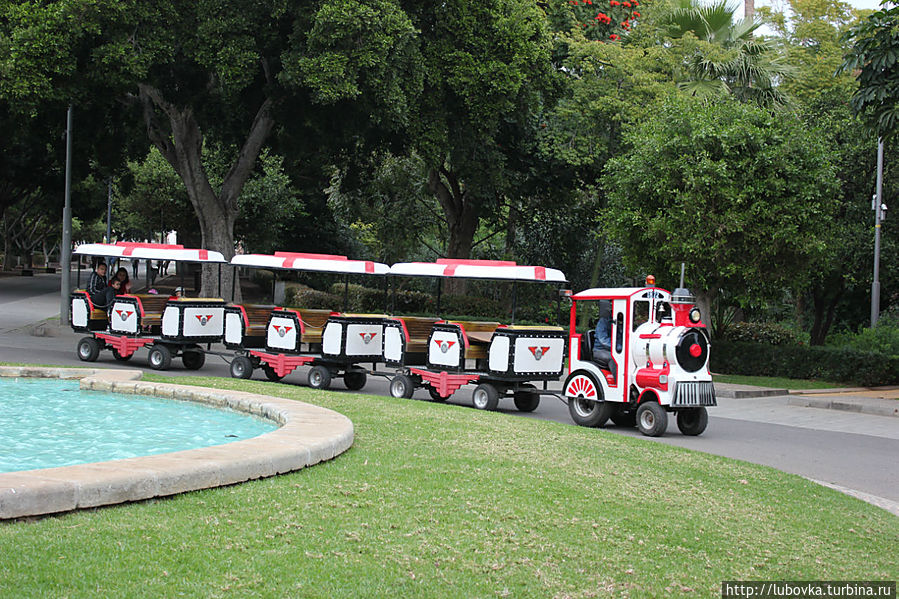 В парке можно покататься и прокатить своих деток на паровозике. Санта-Крус-де-Тенерифе, остров Тенерифе, Испания