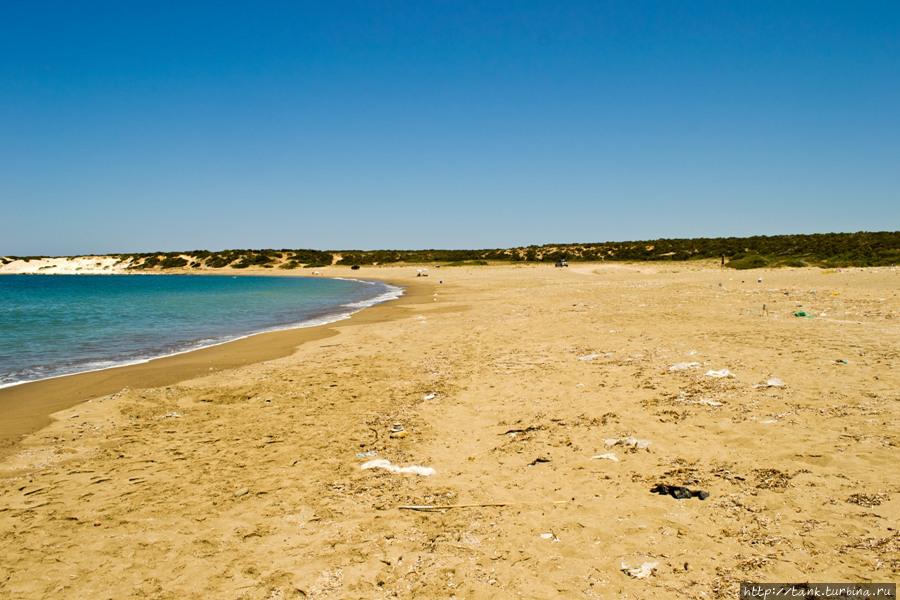 Забегая вперед, скажу, что Лара оказался самым грязным пляжем на острове, из всех, что мне довелось, посетит. Акамас полуостров Национальный Парк, Кипр