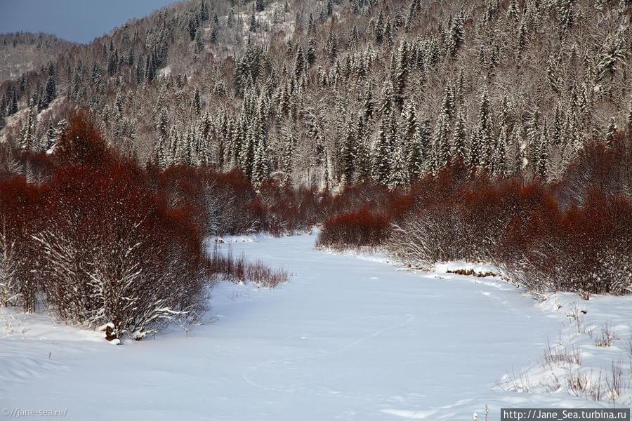 Река Чуйка замерзла Телецкое озеро, Россия