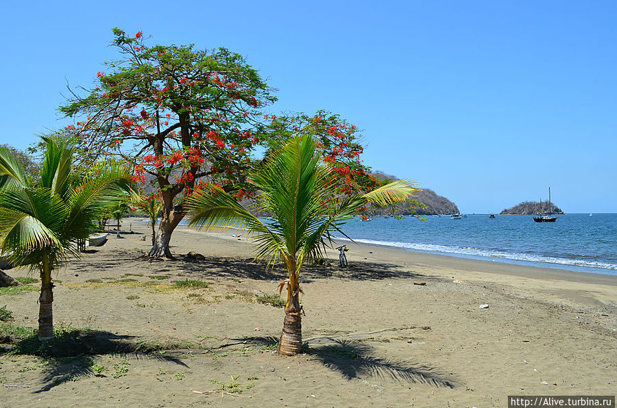 пляж... Коста-Рика