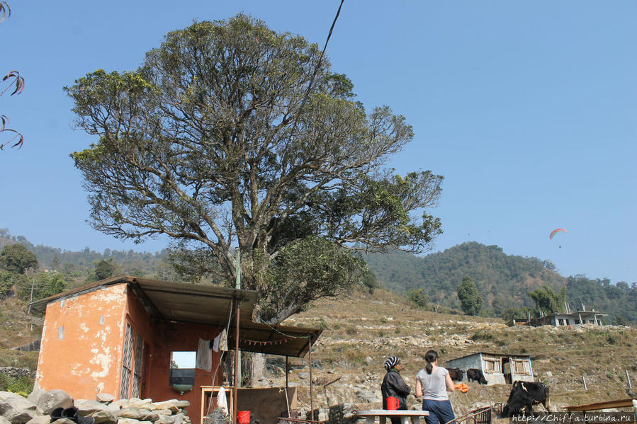 Непал: Покхара, День на ранчо и знакомство с гуру Покхара, Непал
