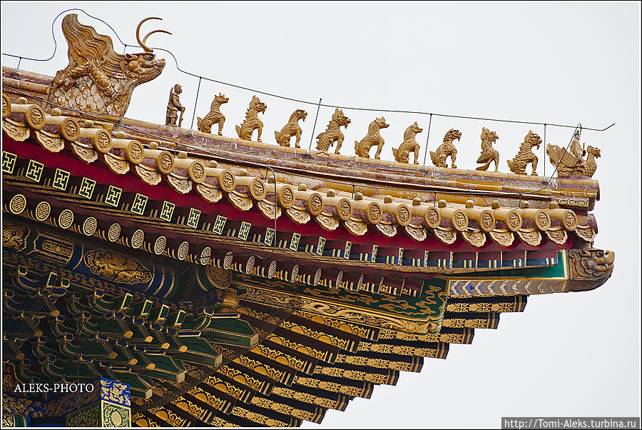На всех крышах в Запретном городе мы увидели керамических глазурованных фигурок животных. Возглавляет каждый такой ряд святой, едущий верхом на фениксе. У каждого животного в китайской мифологии — свой тайный смысл...
* Пекин, Китай