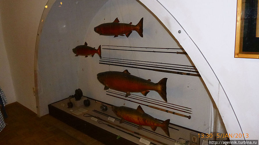 Музей рыболовства и охоты в Мюнхене  Big.photo