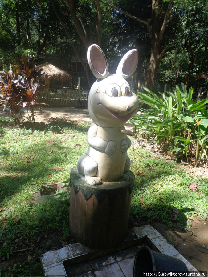 Yangon Zoological Garden Янгон, Мьянма