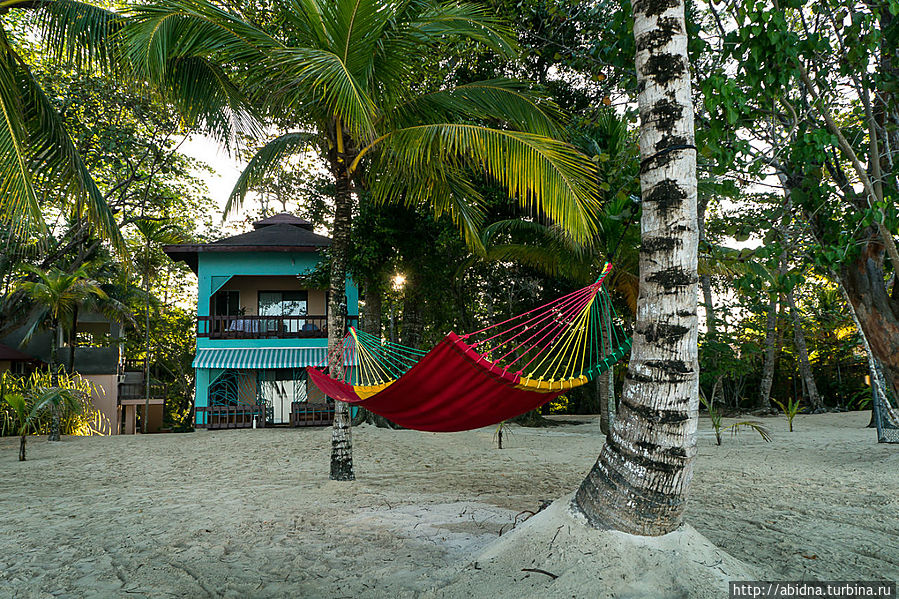 Гамачок у моря... Красота! Гамачок у моря... Красота!