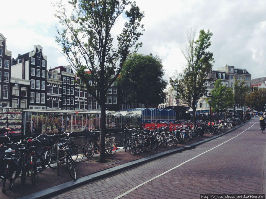 Пересадка в Амстердаме Амстердам, Нидерланды